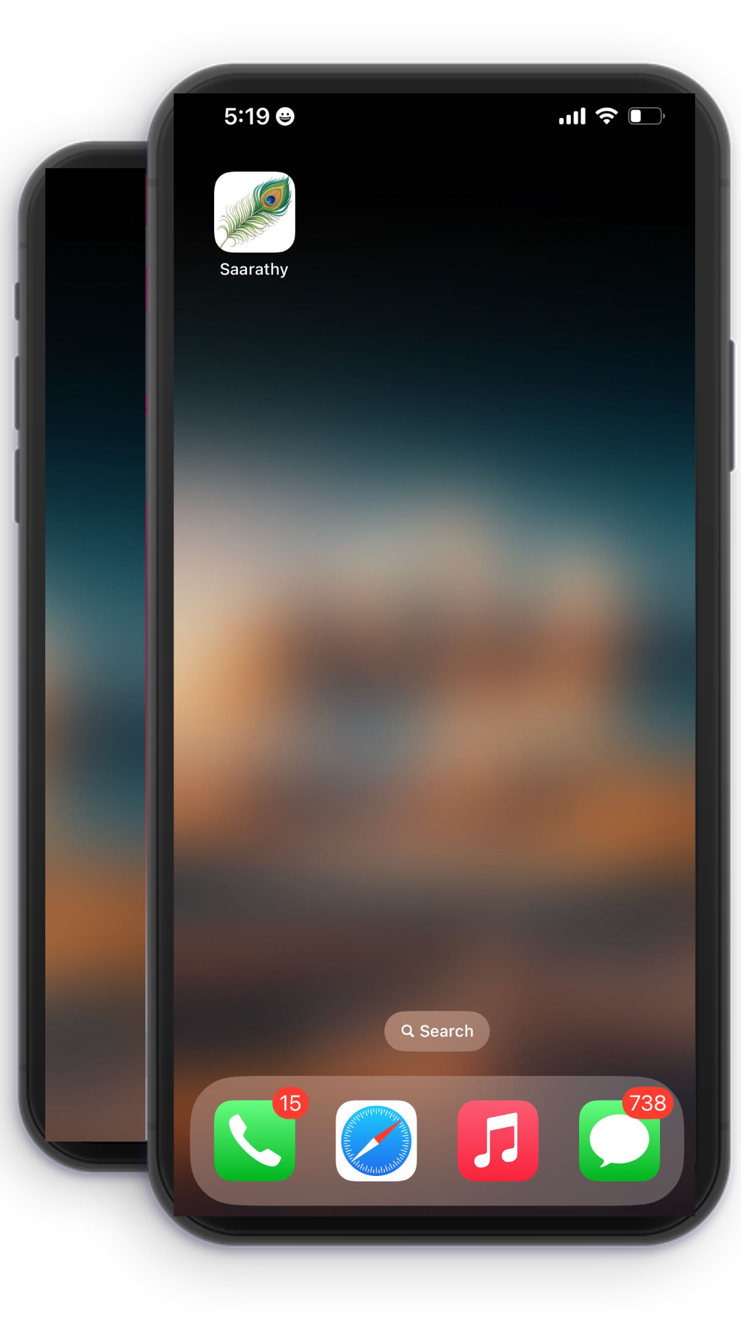 dual phone